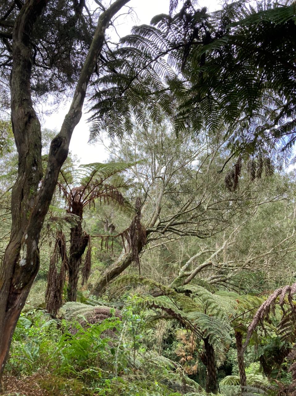 IMG-20210321-WA0001-1